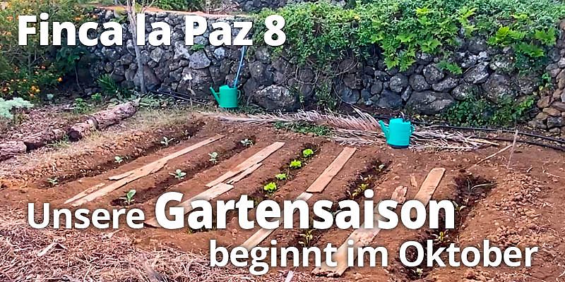 Während sich im Norden die Natur gegen Ende des Jahres zur Ruhe begibt, wird es bei uns auf der Finca lebendig. Seit Oktober beginnt an allen Ecken und Enden frisches Grün zu sprießen.