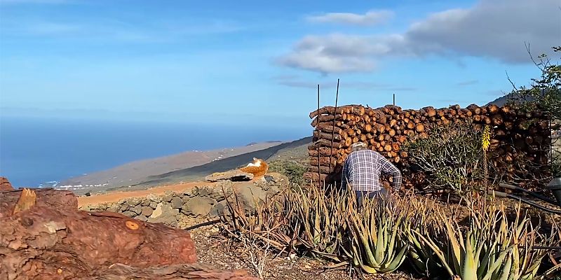 Finca La Paz 1 - Teilnehmen am Alltag auf der Finca. Es beginnt mit ein paar Winterimpressionen aus dem Januar 2025.